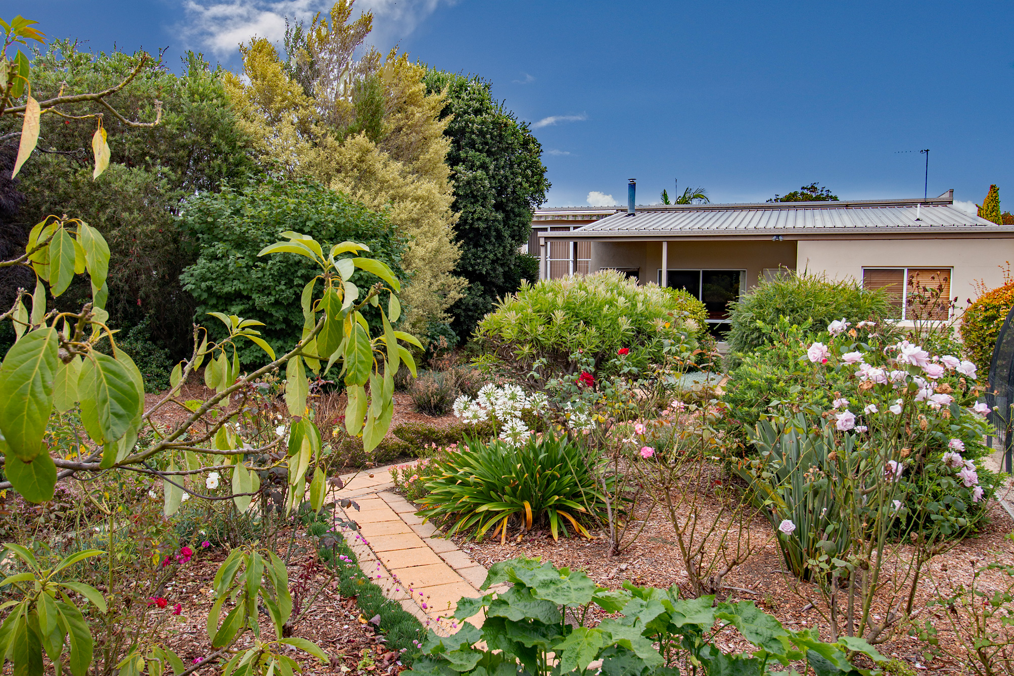 7 Allan Drive - Image 21