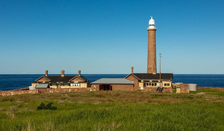 Gabo Island